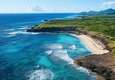 Pointe des Chateaux : Baleines et Plages à St François ! Un sanctuaire marin à préserver en Guadeloupe